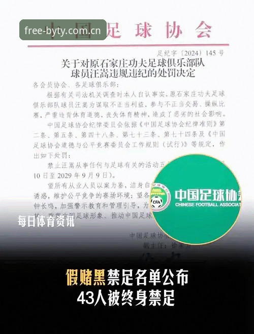 中国足协第三批禁足名单详解——博业体育平台深度剖析行业整顿风暴